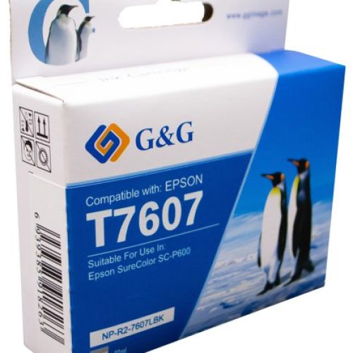 Eco Branded Epson T7607 Light Black C13T760740 Inkjet